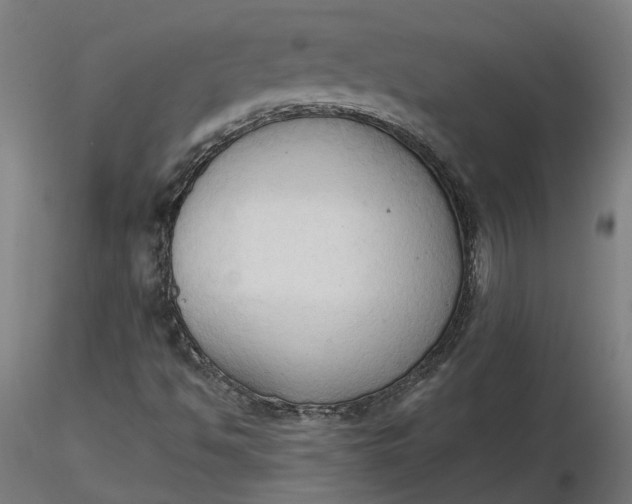 X0000116511494200912231222