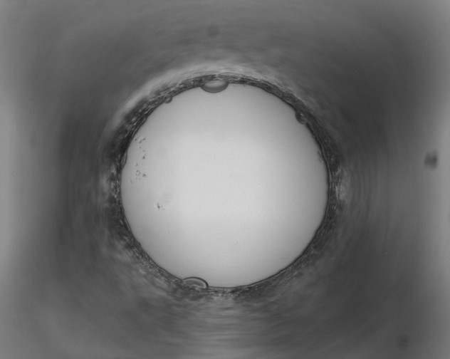 X0000116511495200912231222