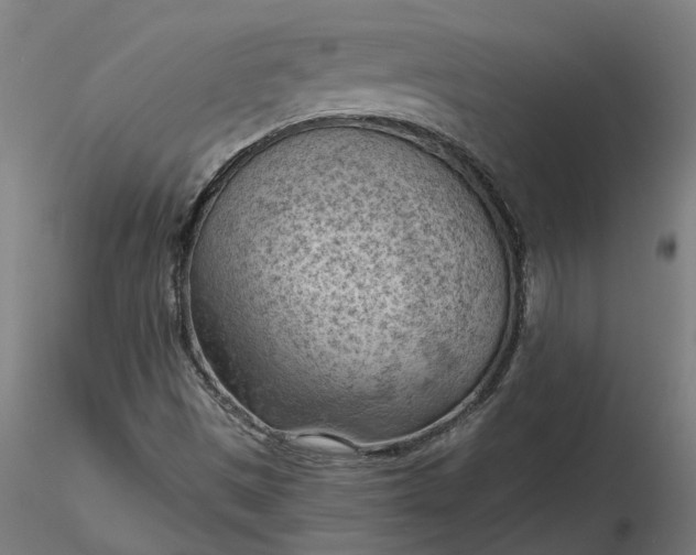 X0000116511497200912231222