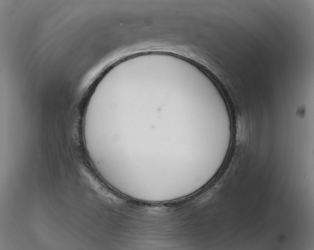 X0000116511502200912231222