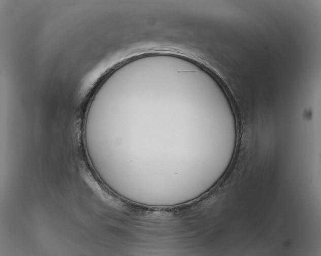 X0000116511503200912231222