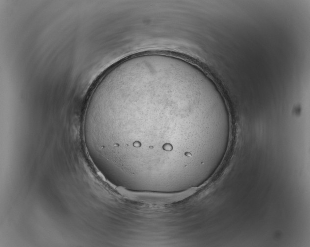 X0000116511505200912231222