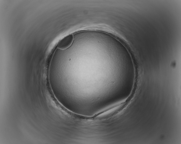 X0000116511506200912231222