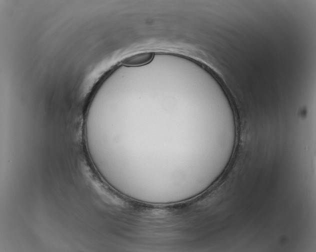 X0000116511507200912231222