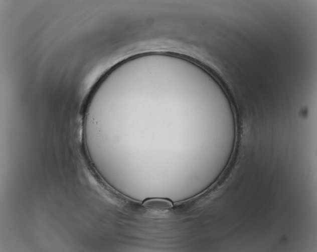 X0000116511509200912231222