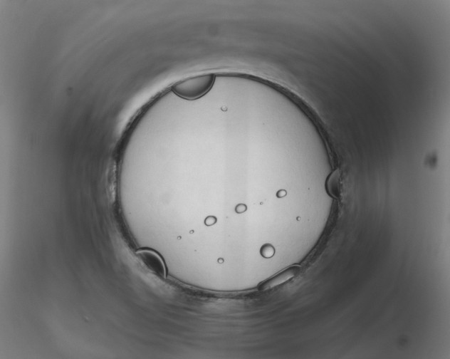 X0000116511510200912231222