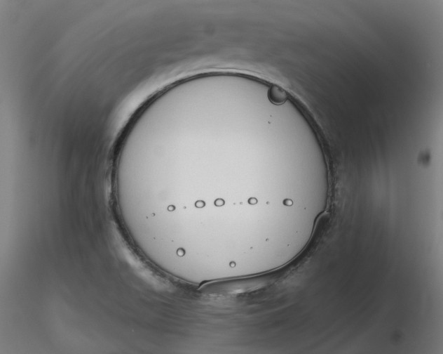 X0000116511511200912231222