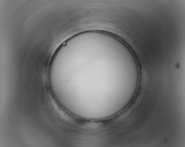 X0000116511513200912231222