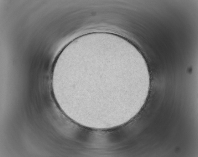 X0000116511514200912231222