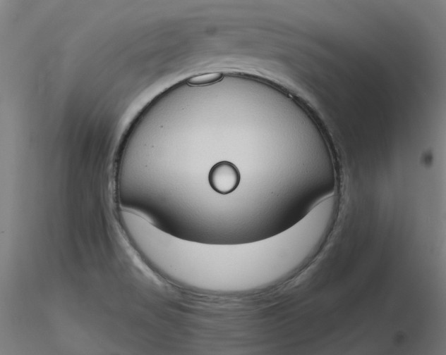 X0000116511517200912231222