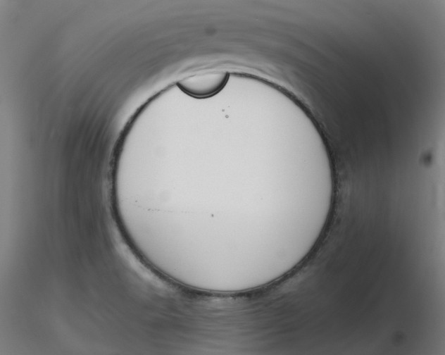 X0000116511518200912231222