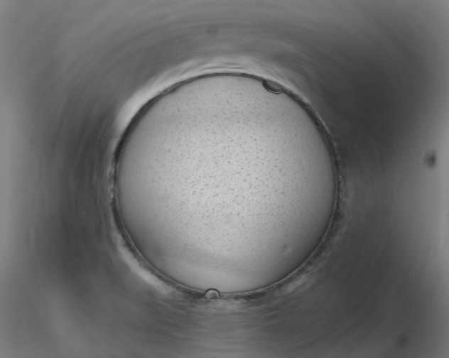 X0000116511519200912231222