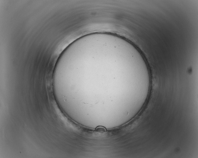 X0000116511521200912231223