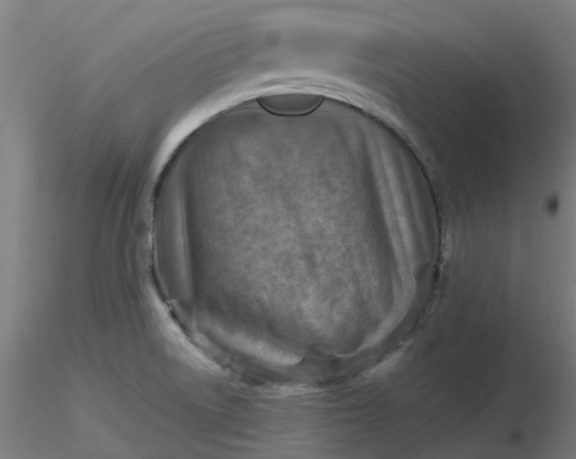 X0000116511522200912231223