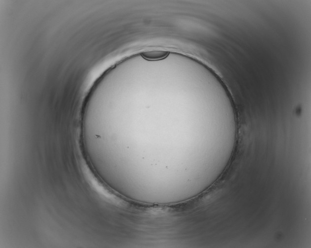 X0000116511523200912231223