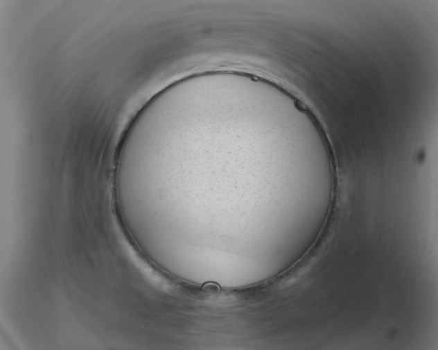 X0000116511525200912231223