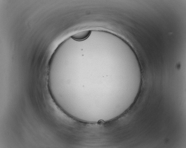 X0000116511526200912231223