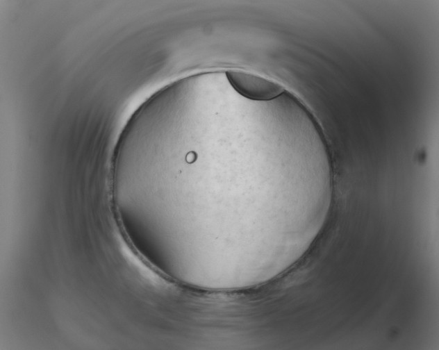 X0000116511527200912231223