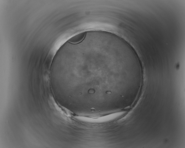 X0000116511529200912231223