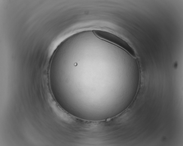 X0000116511530200912231223