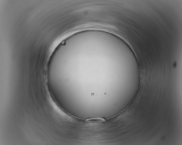 X0000116511531200912231223