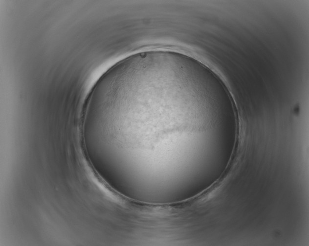 X0000116511533200912231223