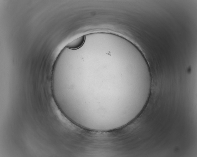 X0000116511534200912231223