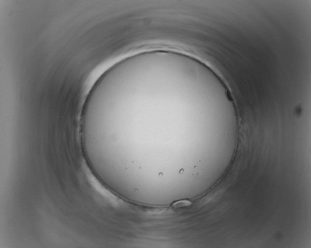 X0000116511535200912231223