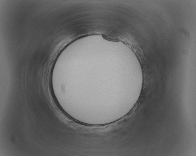 X0000116510001200912292153