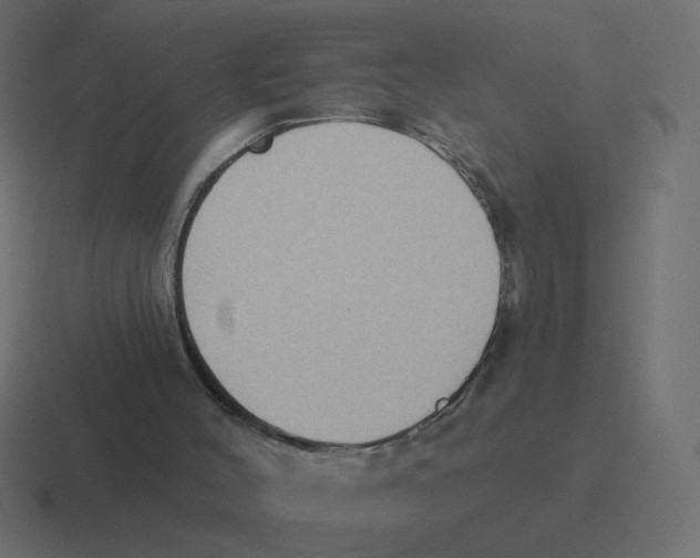 X0000116510004200912292153