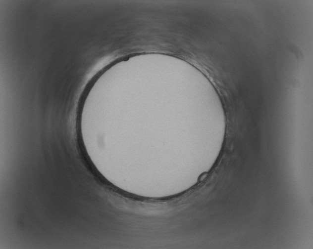 X0000116510008200912292153