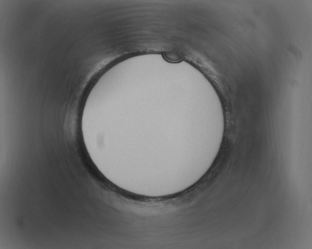 X0000116510012200912292153