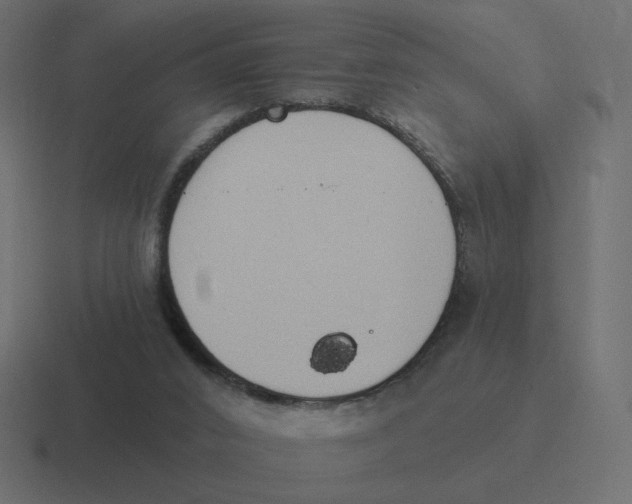 X0000116510016200912292153