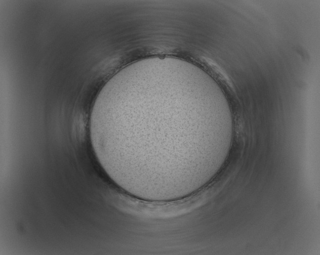 X0000116510026200912292153