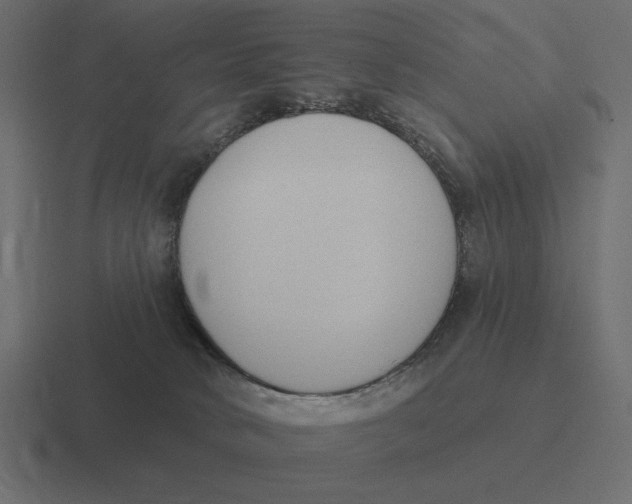 X0000116510034200912292153