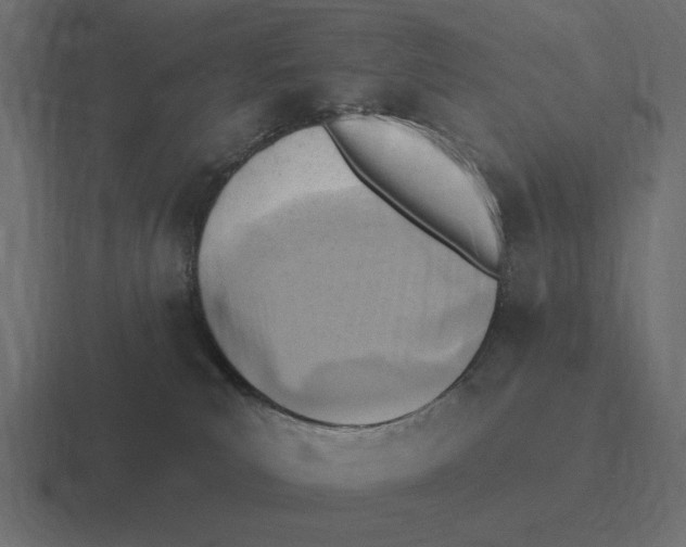 X0000116510039200912292153