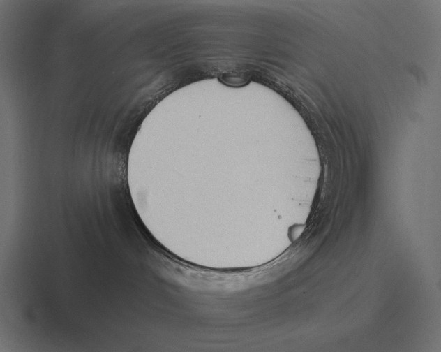 X0000116510048200912292153