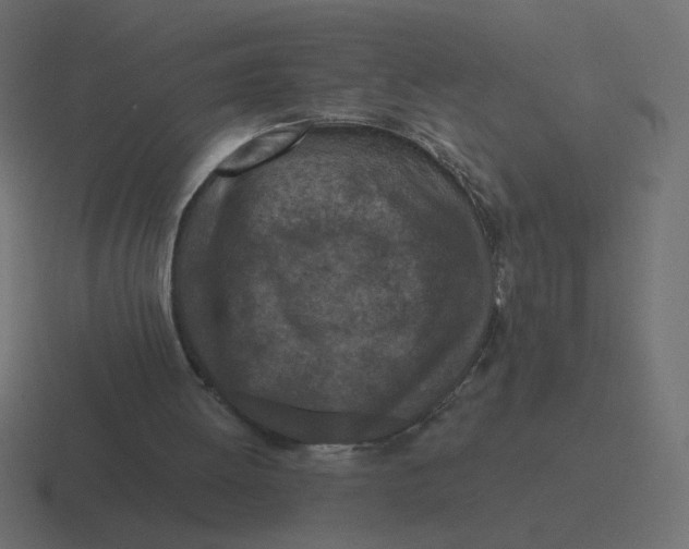 X0000116510052200912292152