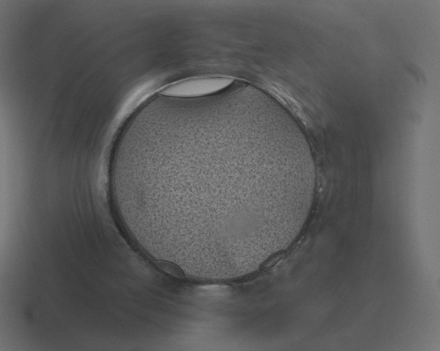 X0000116510053200912292152