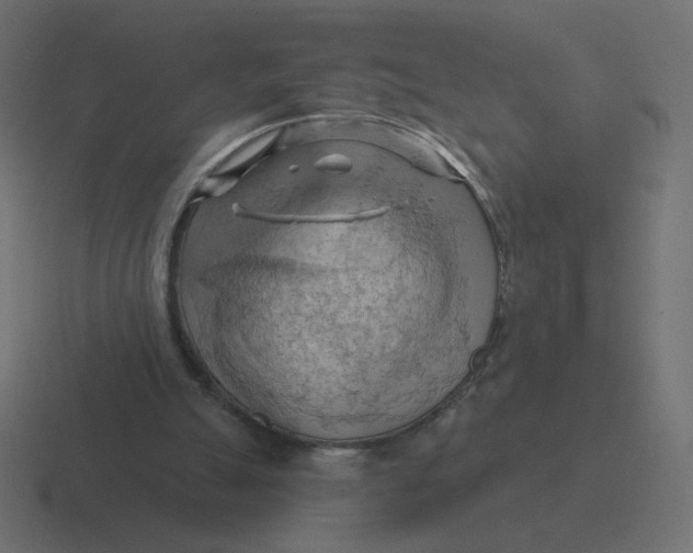 X0000116510055200912292152
