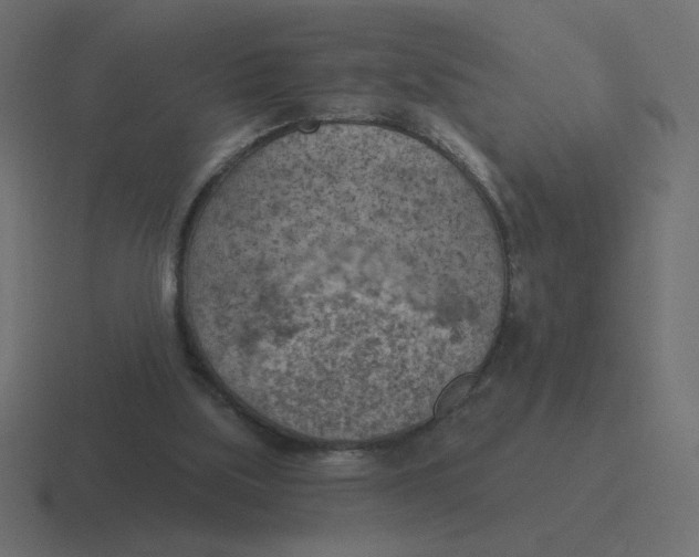 X0000116510059200912292152