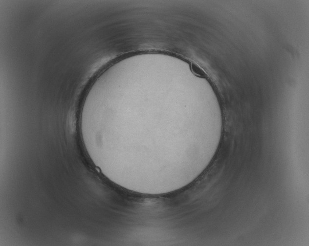 X0000116510060200912292152