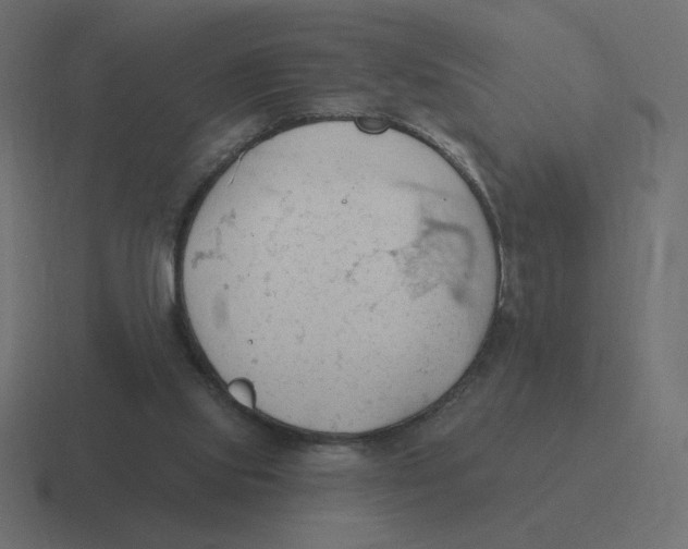 X0000116510061200912292152