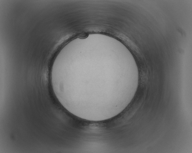 X0000116510064200912292152