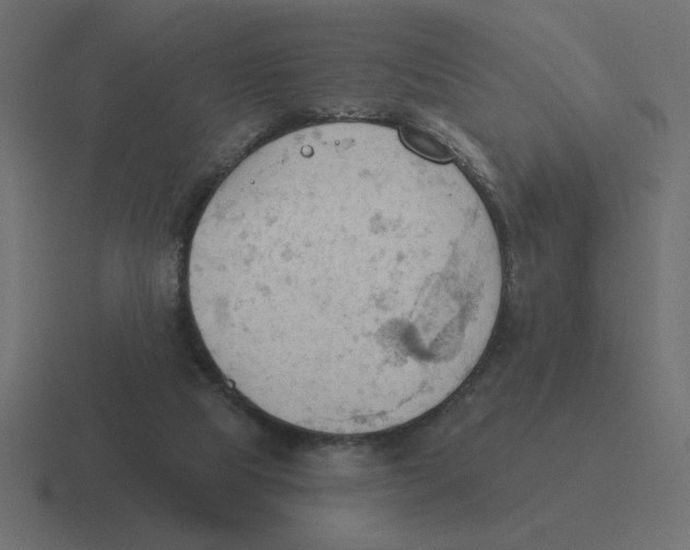 X0000116510065200912292152