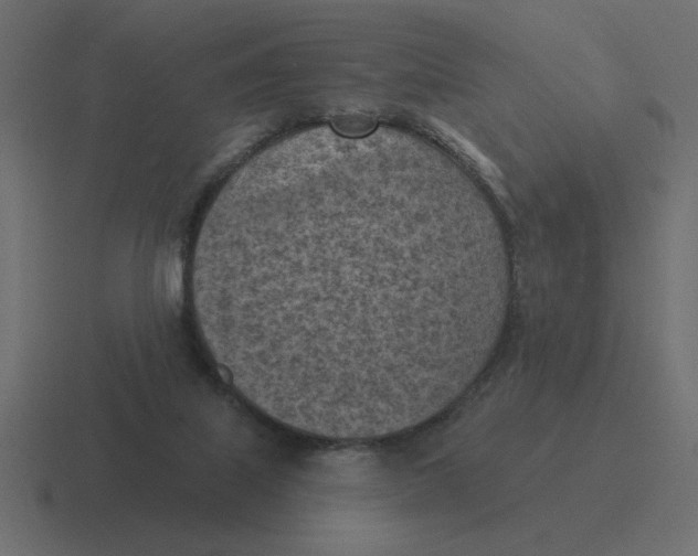 X0000116510067200912292152