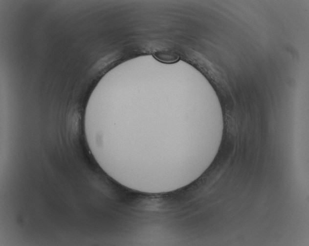 X0000116510071200912292152
