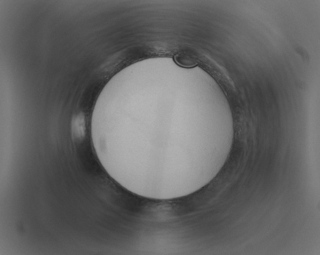 X0000116510075200912292152