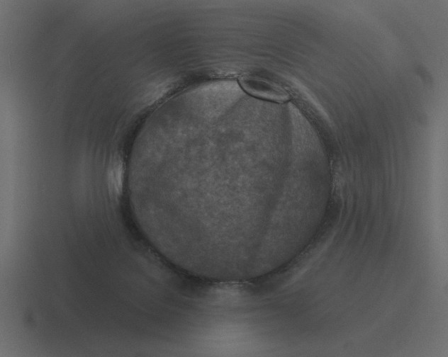 X0000116510076200912292152