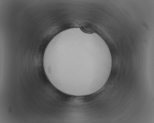 X0000116510078200912292152